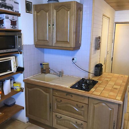 Appartement 2 Pieces Pieds Des Pistes Terrasse Face A La Montagne بيرنيكس المظهر الخارجي الصورة