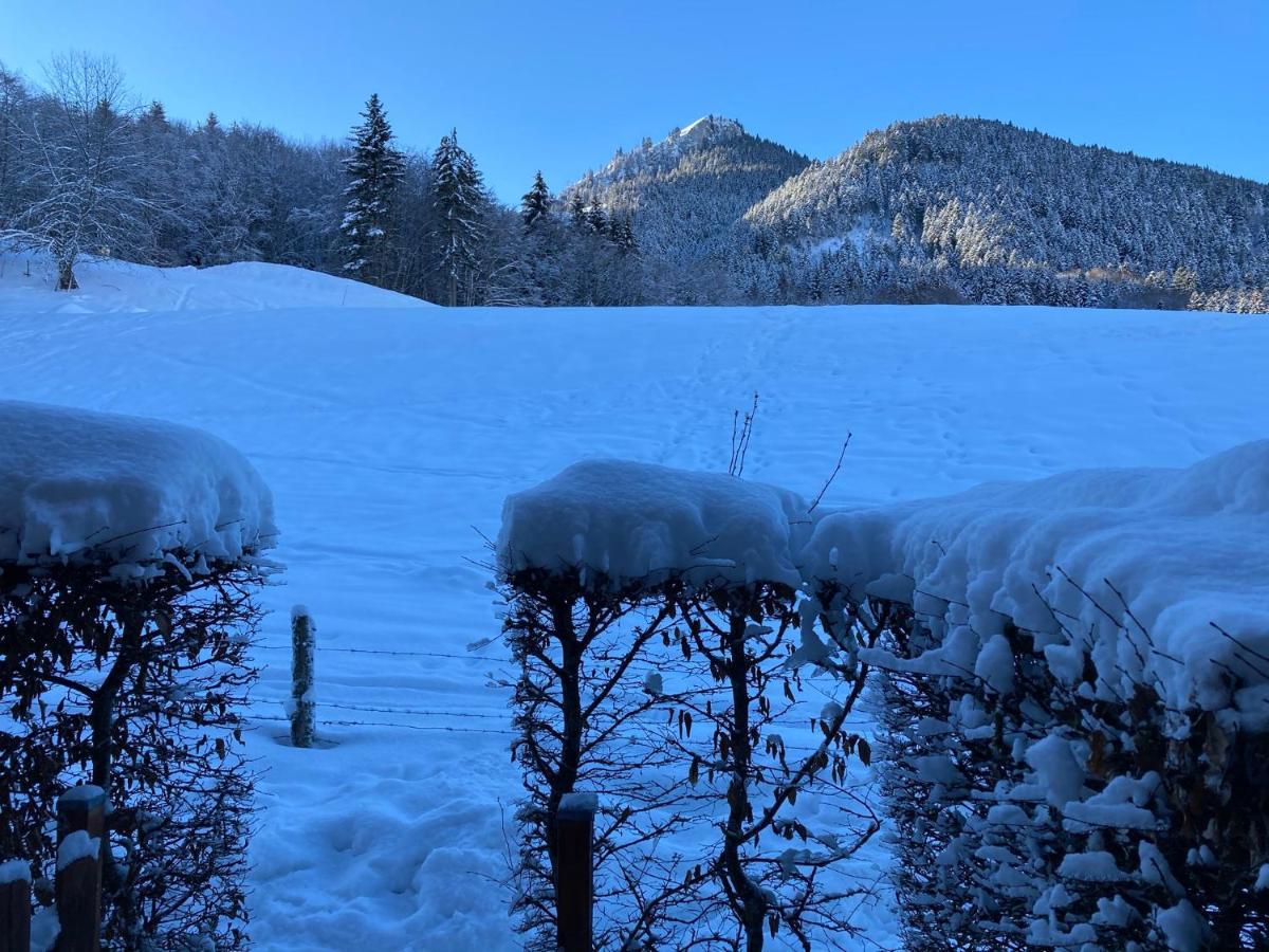 Appartement 2 Pieces Pieds Des Pistes Terrasse Face A La Montagne بيرنيكس المظهر الخارجي الصورة